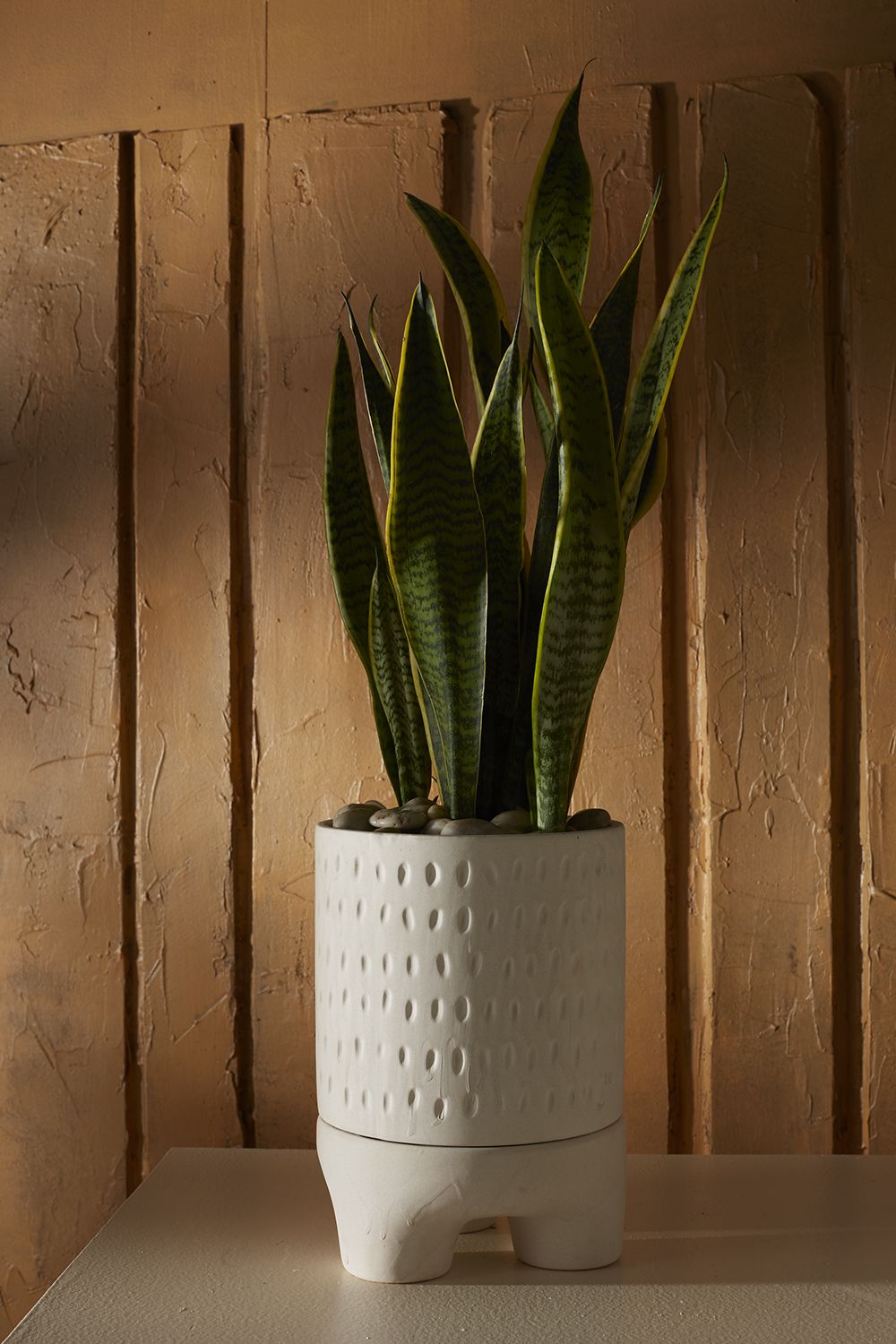 The Dache Pot by Accent Decor | Luxury Flower Pots | Willow & Albert Home