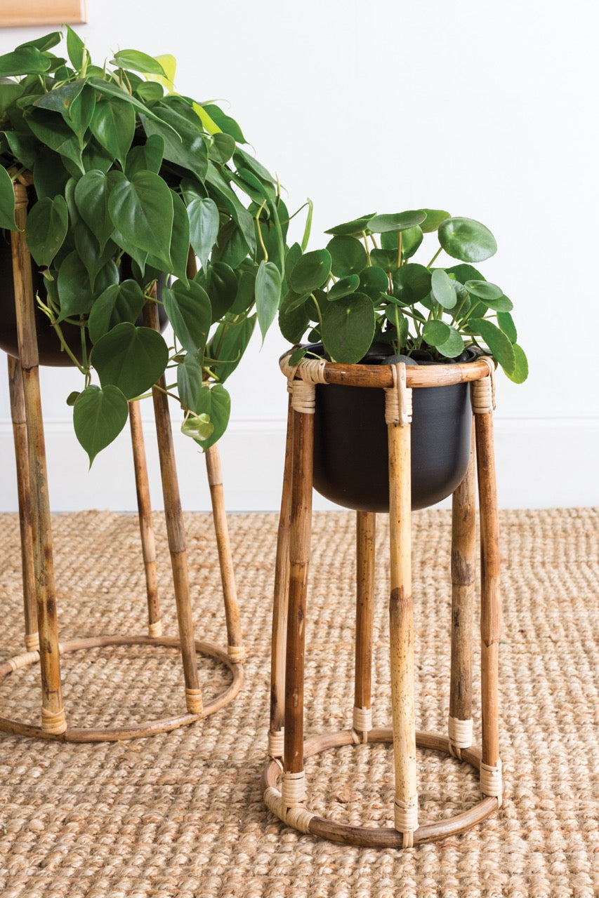The Boca Plant Stand by Accent Decor | Luxury Plant Stands | Willow & Albert Home