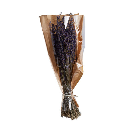 The Dried Lavender by Accent Decor | Luxury Dried Flowers | Willow & Albert Home