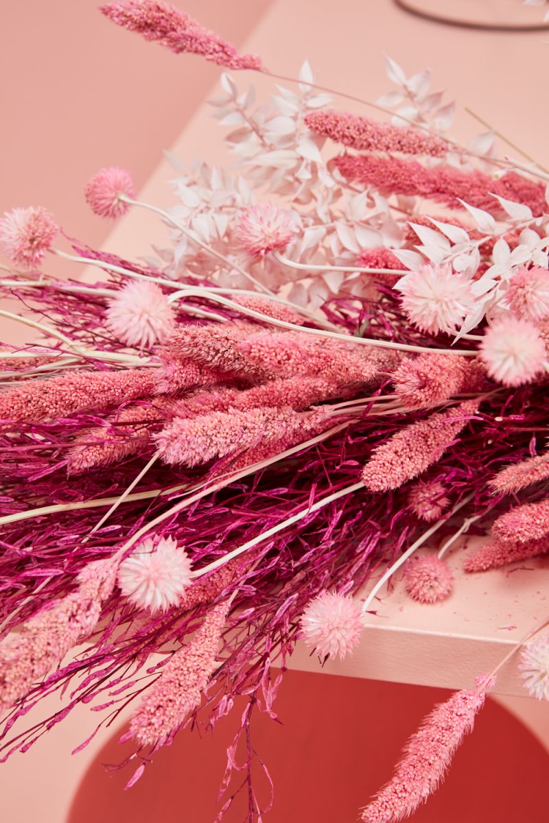 The Dried Setaria by Accent Decor | Luxury Dried Flowers | Willow & Albert Home