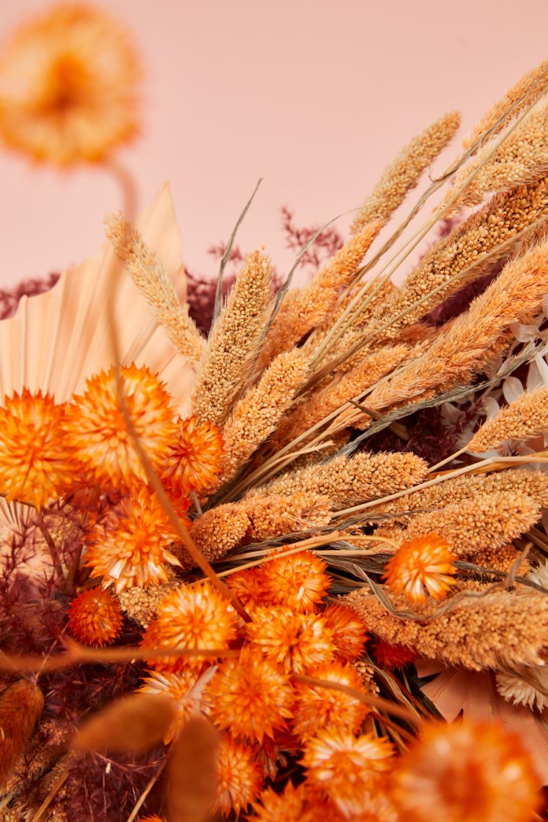 The Dried Setaria by Accent Decor | Luxury Dried Flowers | Willow & Albert Home
