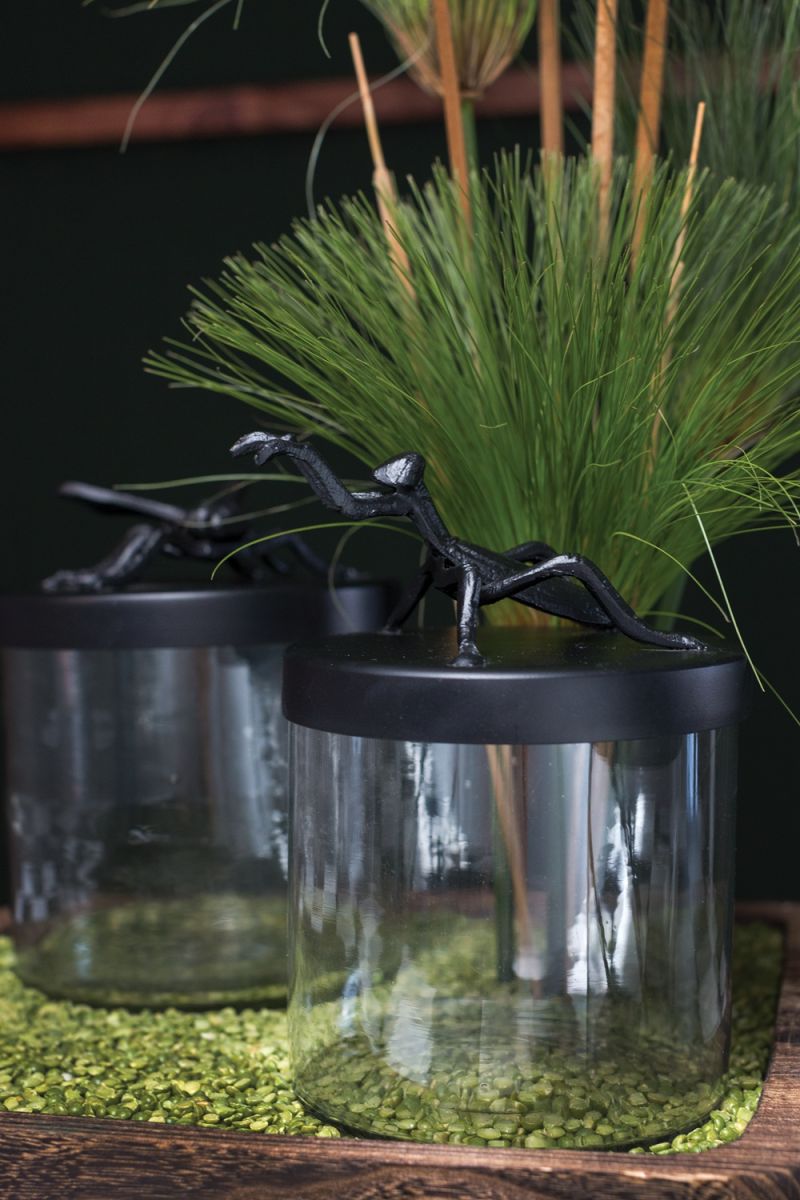 Ology Canister - Willow & Albert Home