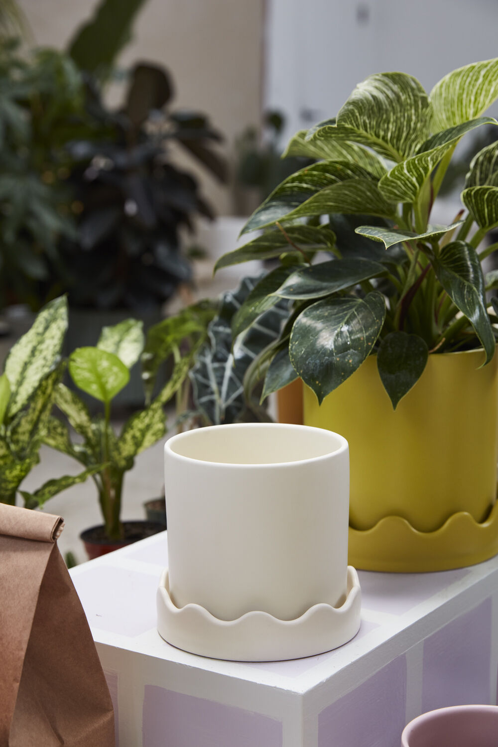 The Pissaro Pot with Saucer by Accent Decor | Luxury Flower Pots | Willow & Albert Home