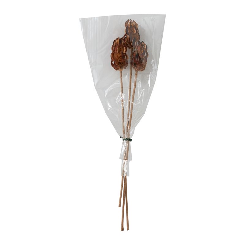 The Wild Thistle Stem by Accent Decor | Luxury Dried Flowers | Willow & Albert Home
