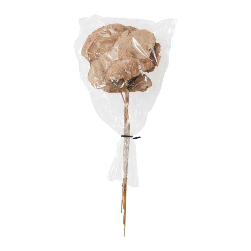 The Sponge Mushroom Stem by Accent Decor | Luxury Dried Flowers | Willow & Albert Home