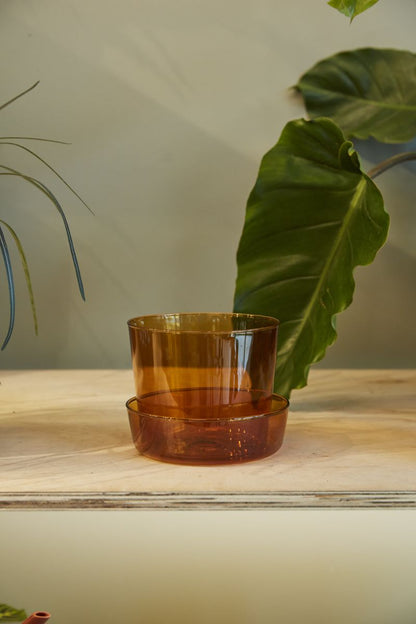 The Glass Pot With Saucer by Accent Decor | Luxury Flower Pots | Willow & Albert Home