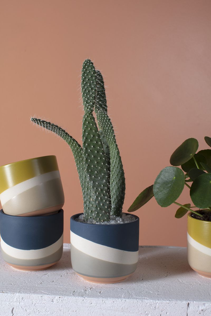 The Colorway Pot Set Of 2 by Accent Decor | Luxury Flower Pots | Willow & Albert Home