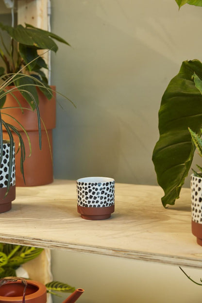 The Lassen Pot by Accent Decor | Luxury Flower Pots | Willow & Albert Home