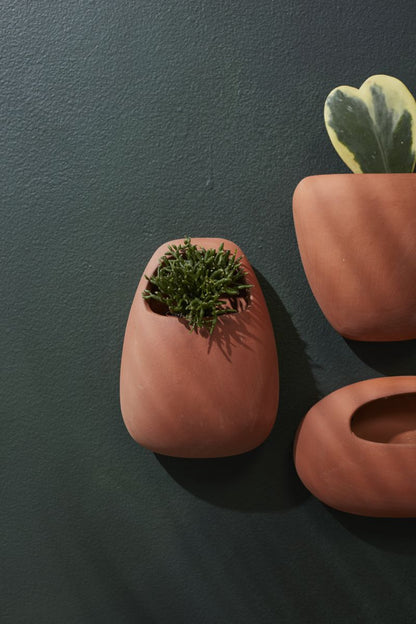 The Solento Wall Planter Set of 2 by Accent Decor | Luxury Flower Pots | Willow & Albert Home