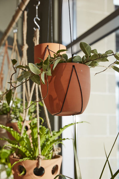 The Palma Hanging Pot by Accent Decor | Luxury Flower Pots | Willow & Albert Home
