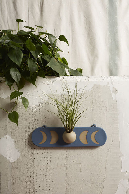 The Moon Wall Mount by Accent Decor | Luxury Flower Pots | Willow & Albert Home