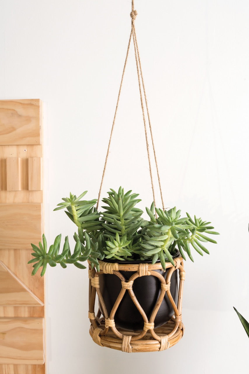 The Boca Hanging Pot by Accent Decor | Luxury Flower Pots | Willow & Albert Home
