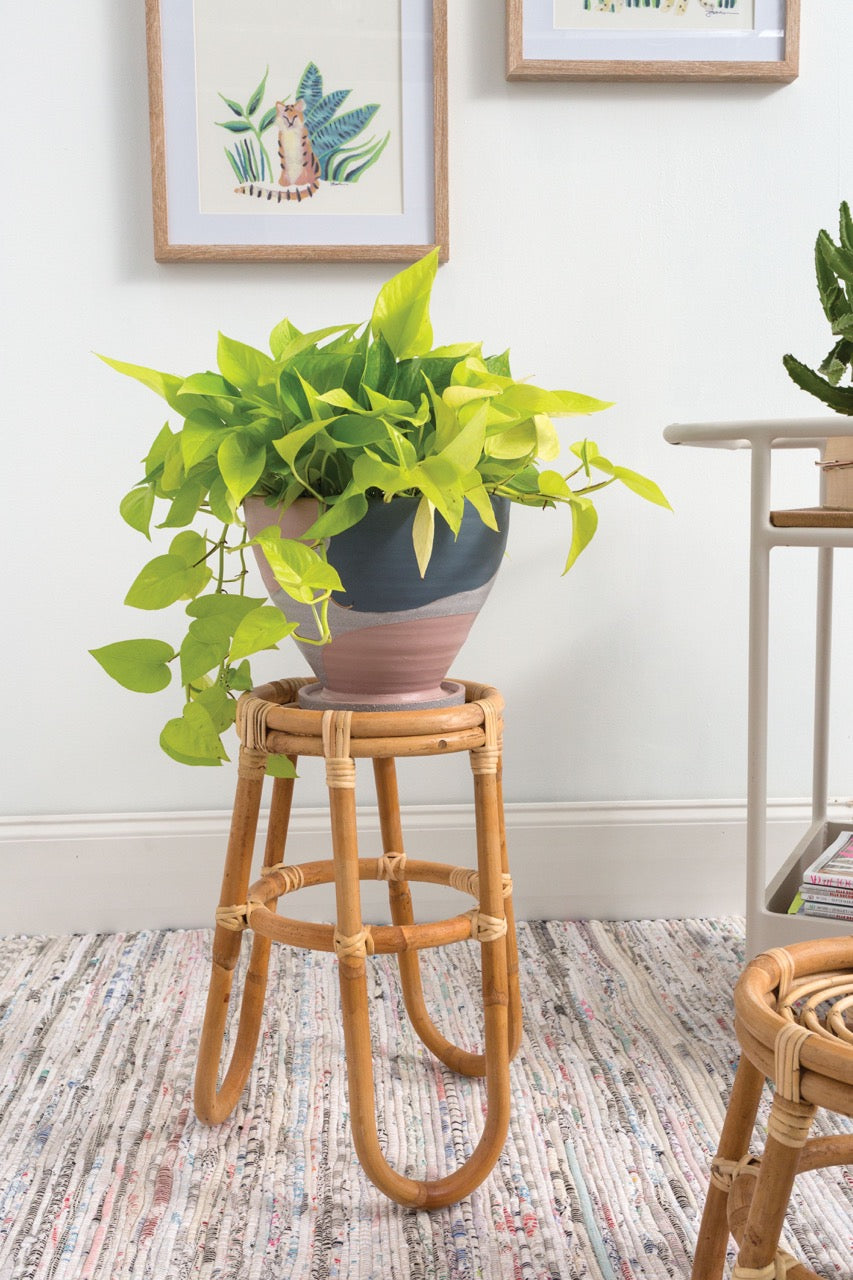 The Barefoot Plant Stand by Accent Decor | Luxury Plant Stands | Willow & Albert Home