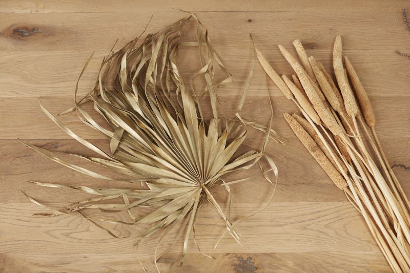 The Dried Sun Fan Spear by Accent Decor | Luxury Dried Flowers | Willow & Albert Home