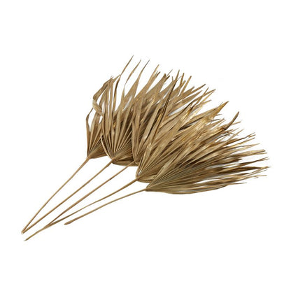 The Dried Sun Fan Spear by Accent Decor | Luxury Dried Flowers | Willow & Albert Home