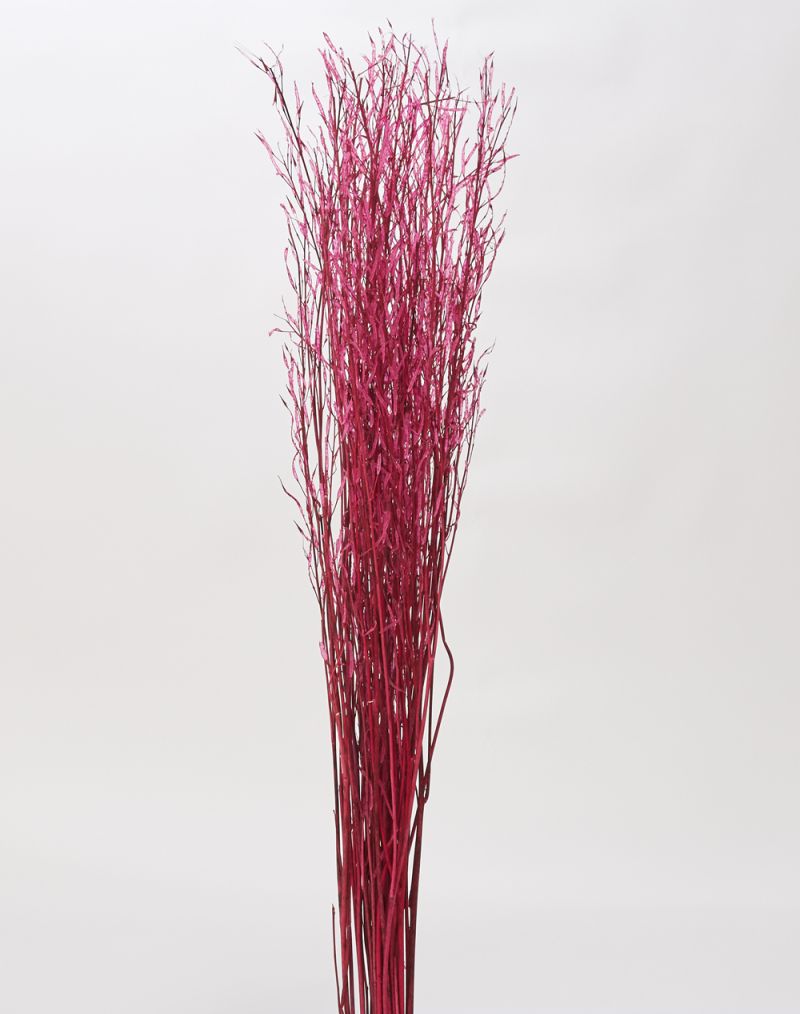 The Saras Grass by Accent Decor | Luxury Dried Flowers | Willow & Albert Home