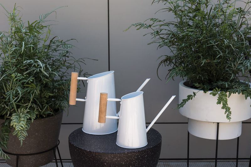 The Preston Watering Can by Accent Decor | Luxury Watering Can | Willow & Albert Home