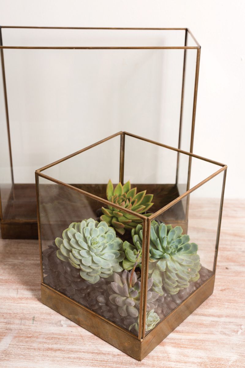 The Coleman Display Box by Accent Decor | Luxury Plant Stands | Willow & Albert Home