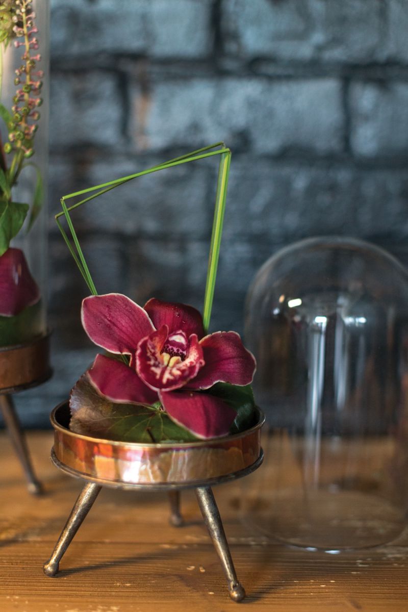 The Historic Cloche Stand by Accent Decor | Luxury Plant Stands | Willow & Albert Home