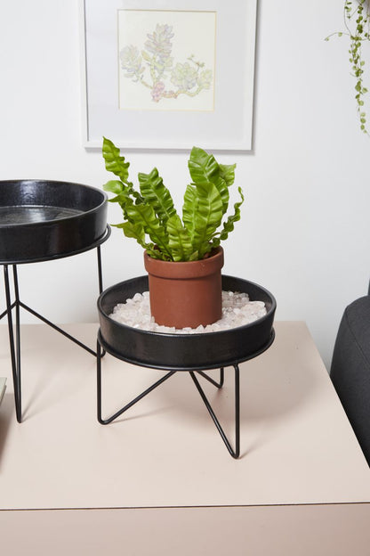 The Encino Saucer With Stand by Accent Decor | Luxury Plant Stands | Willow & Albert Home