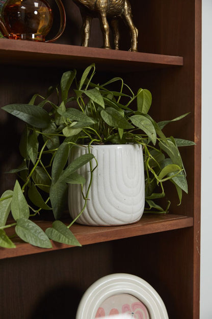 The Coronado Pot by Accent Decor | Luxury Flower Pots | Willow & Albert Home