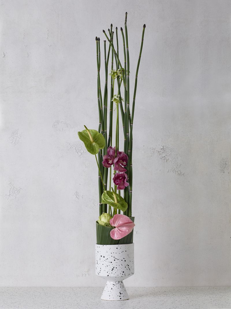 The De'Vil Pot by Accent Decor | Luxury Flower Pots | Willow & Albert Home