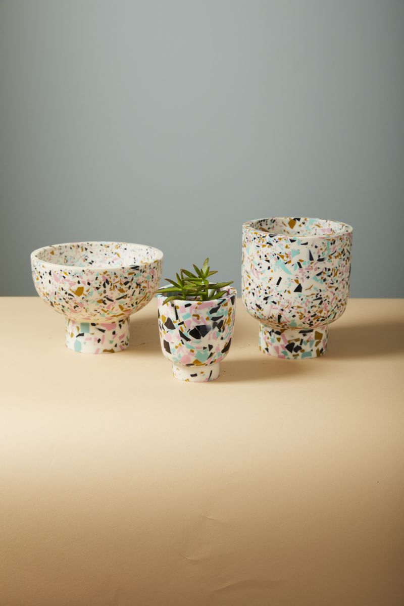 The Anisha Compote by Accent Decor | Luxury Flower Pots | Willow & Albert Home