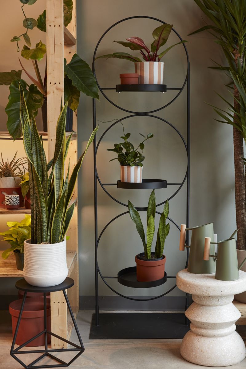 The Kassara Plant Stand by Accent Decor | Luxury Plant Stands | Willow & Albert Home