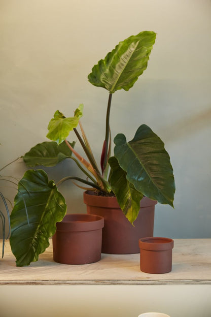 The Klamath Pot by Accent Decor | Luxury Flower Pots | Willow & Albert Home