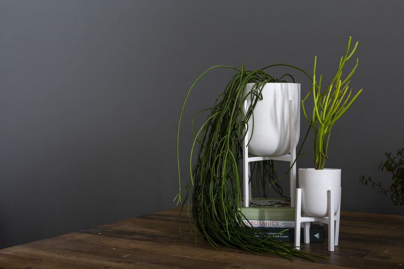The Mallow Plant Stand by Accent Decor | Luxury Plant Stands | Willow & Albert Home