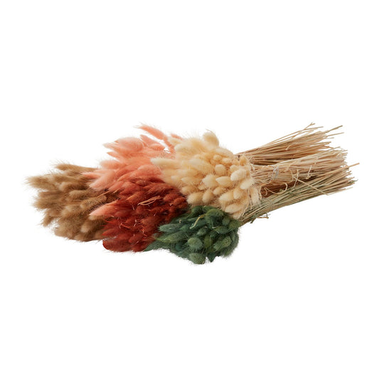The Lagurus Grass by Accent Decor | Luxury Dried Flowers | Willow & Albert Home