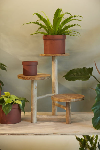 The Obispo Stand by Accent Decor | Luxury Plant Stands | Willow & Albert Home