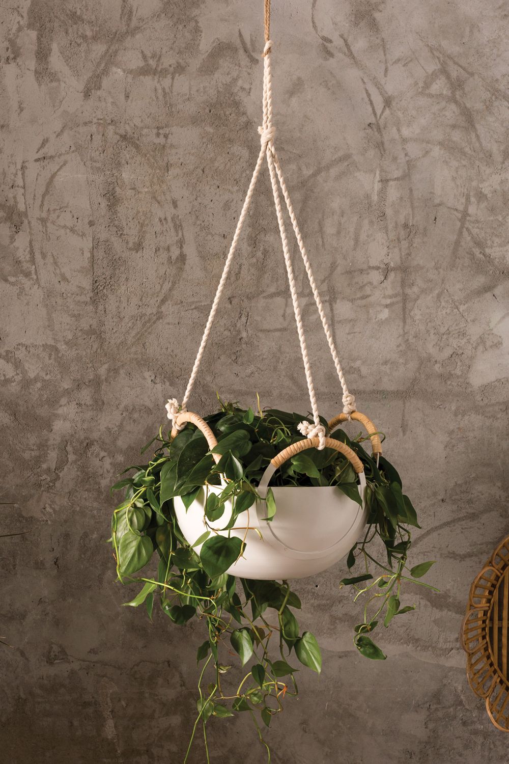 The Sym Hanging Bowl by Accent Decor | Luxury Flower Pots | Willow & Albert Home